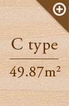 C type@49.87