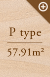 P type@57.91