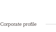 Corporate profile